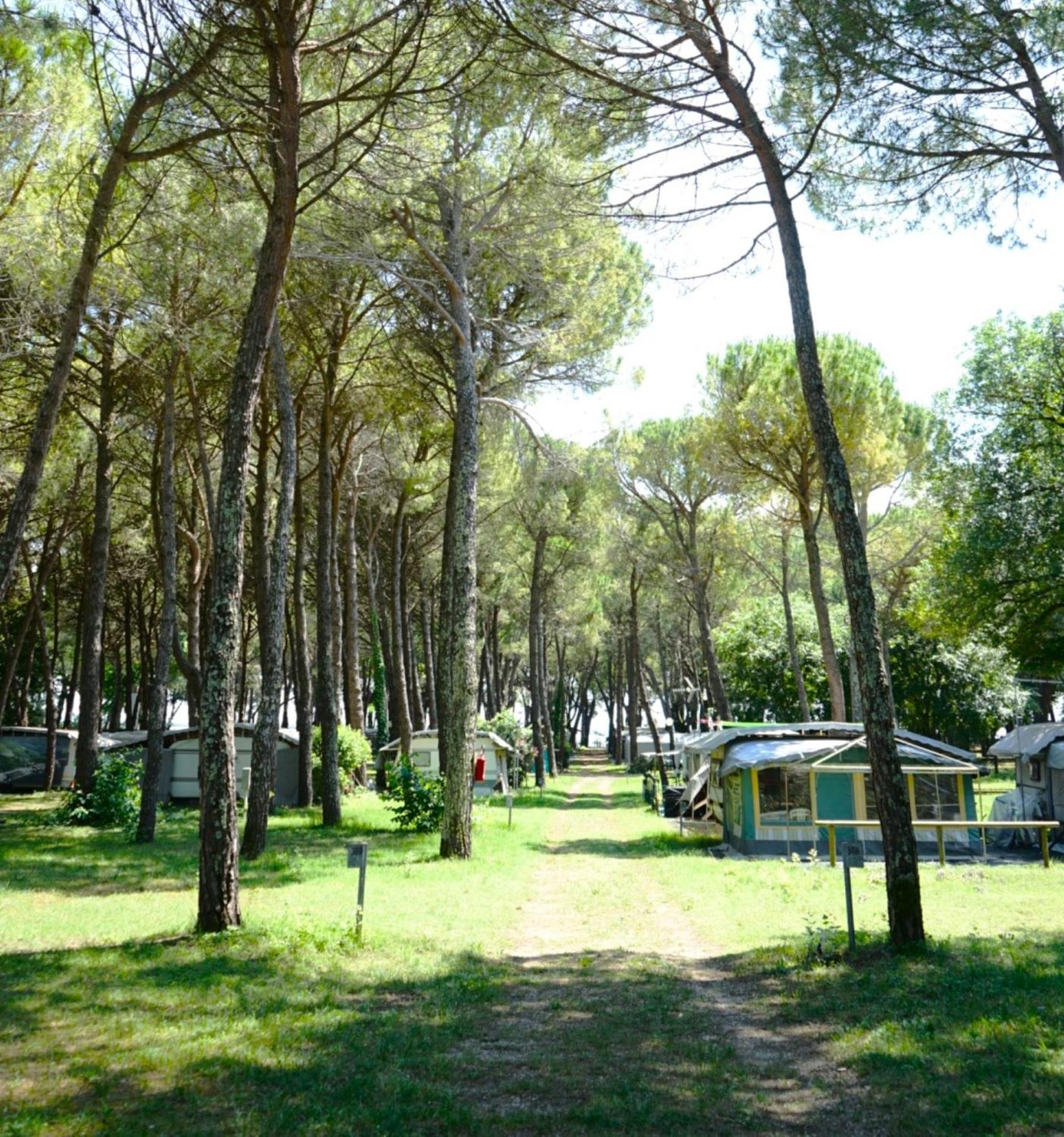 Belvedere Pineta Village Grado * Belvedere (Friuli Venezia Giulia)