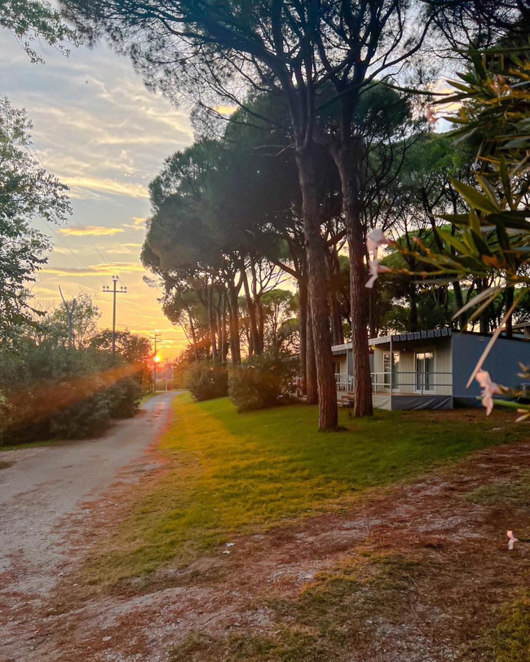 Belvedere Pineta Village Grado * Belvedere (Friuli Venezia Giulia)