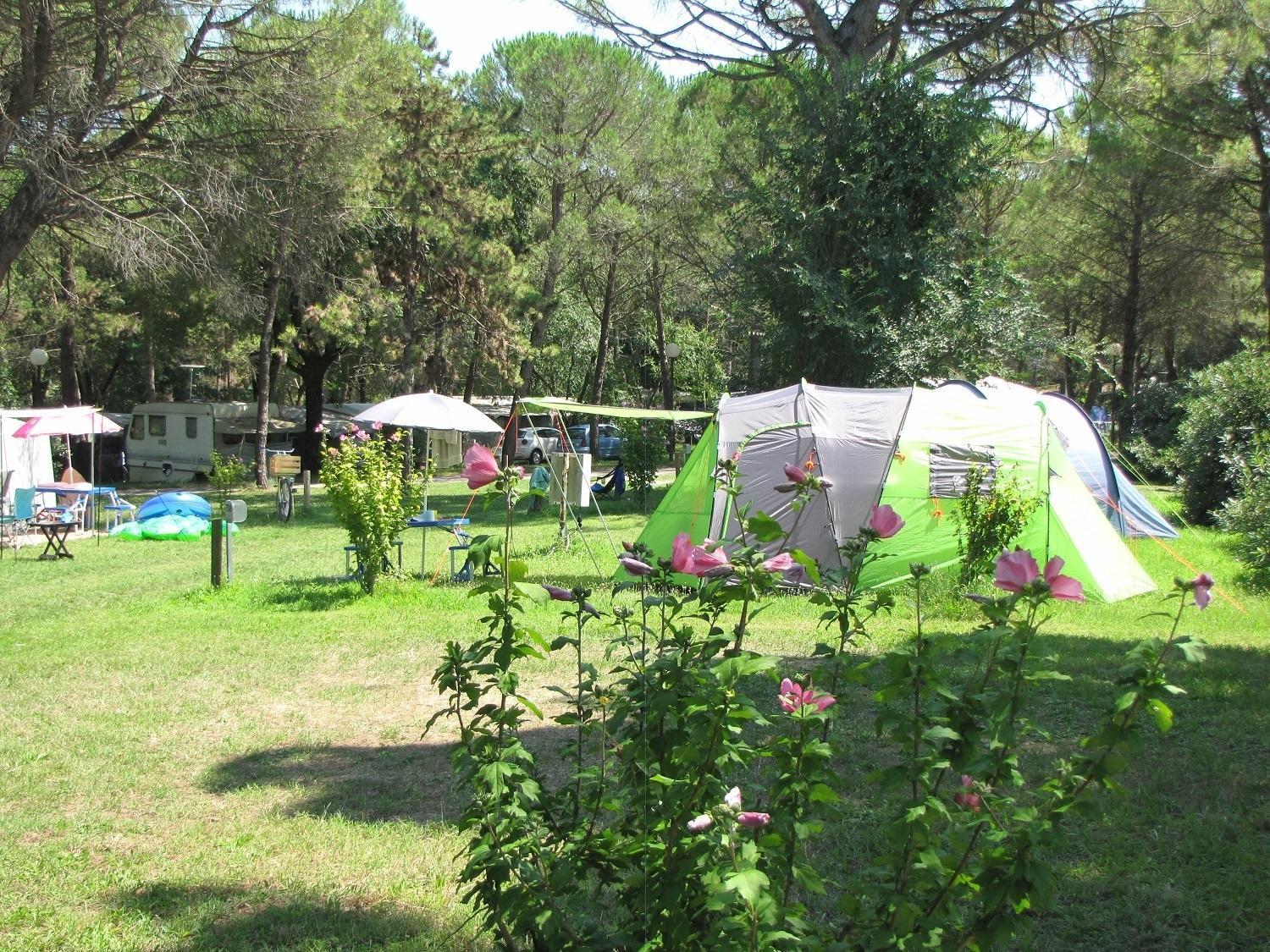 Parque de vacaciones Belvedere Pineta Village Grado
